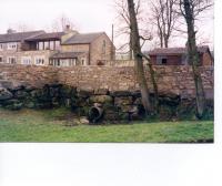 jr8.jpg